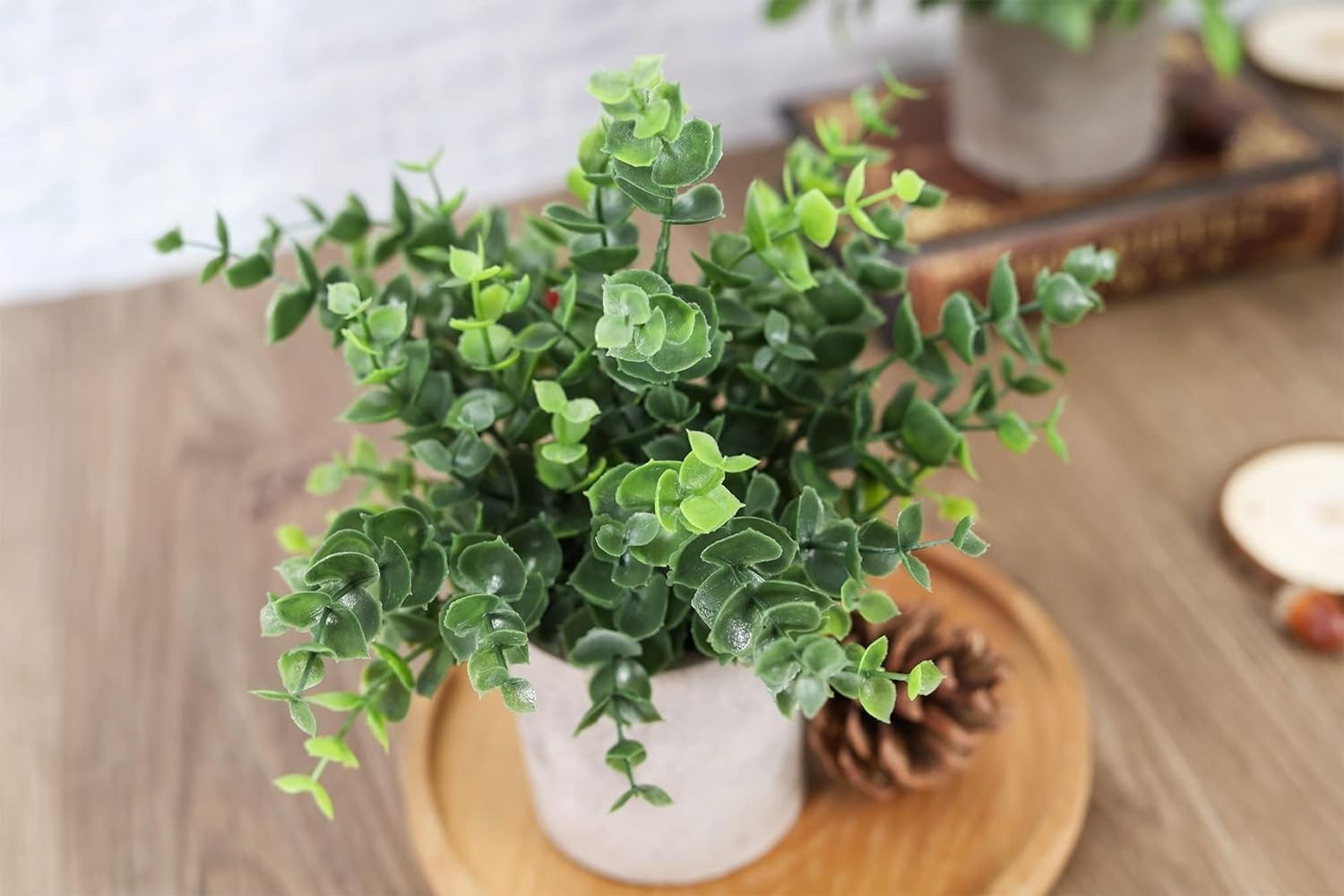 3 Pack Mini Potted Eucalyptus Plants – Lifelike Greenery for Home & Office