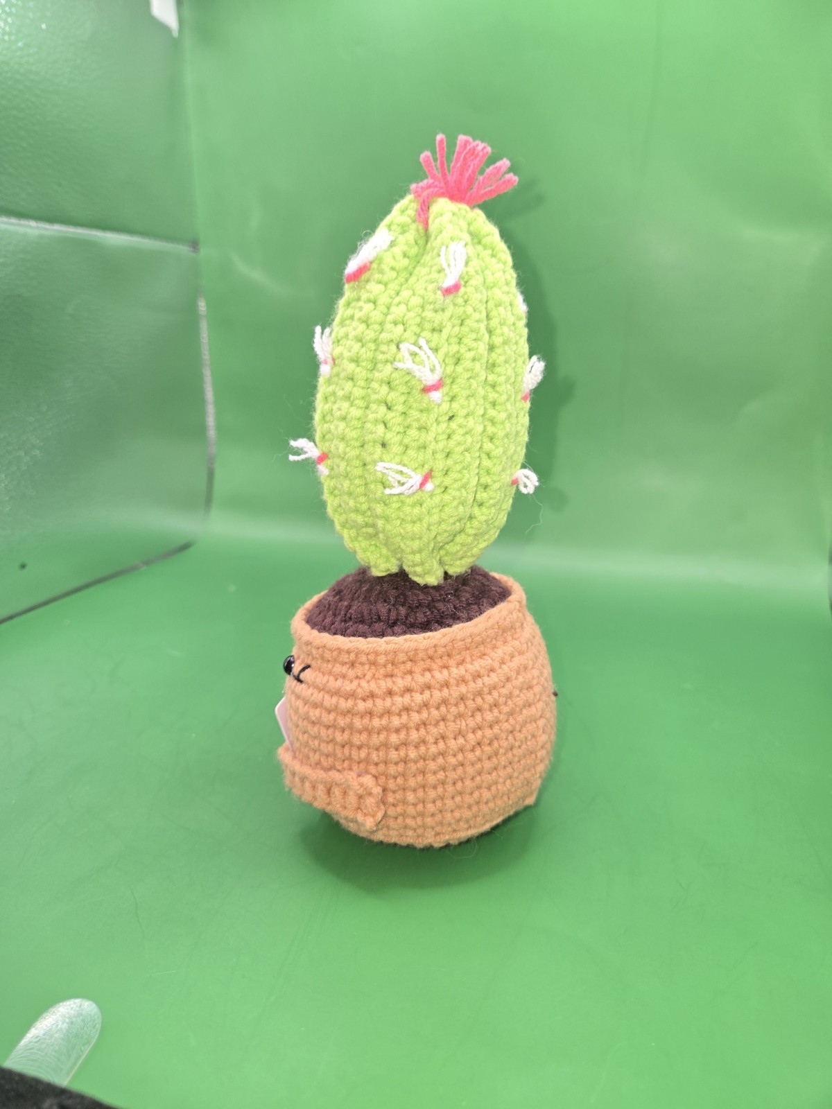Handmade Crochet Emotional Support Cactus Succulent Plant W/ Positive Message