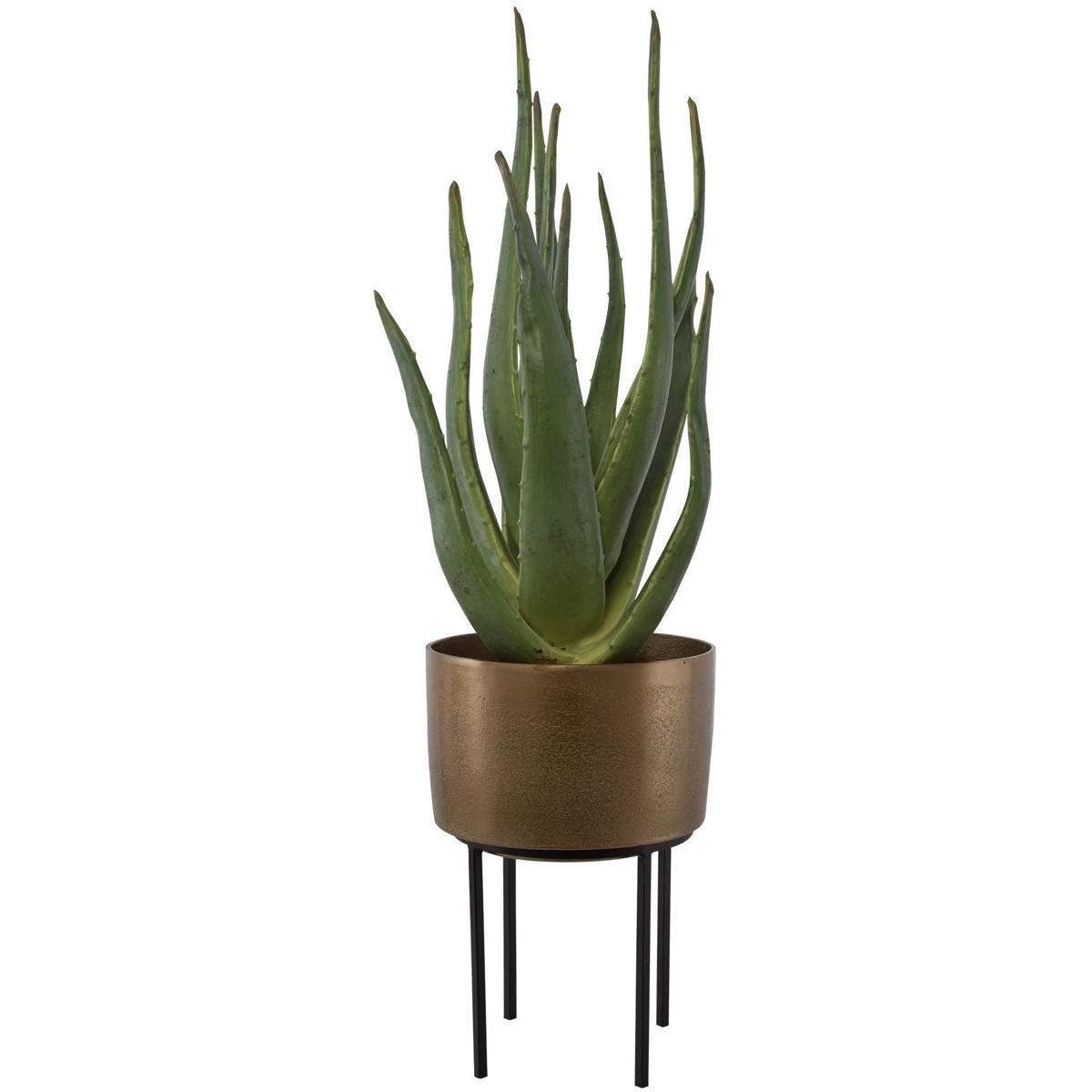 Uttermost 60217 Arabia Green with Antique Brass and Matte Black Aloe Planter