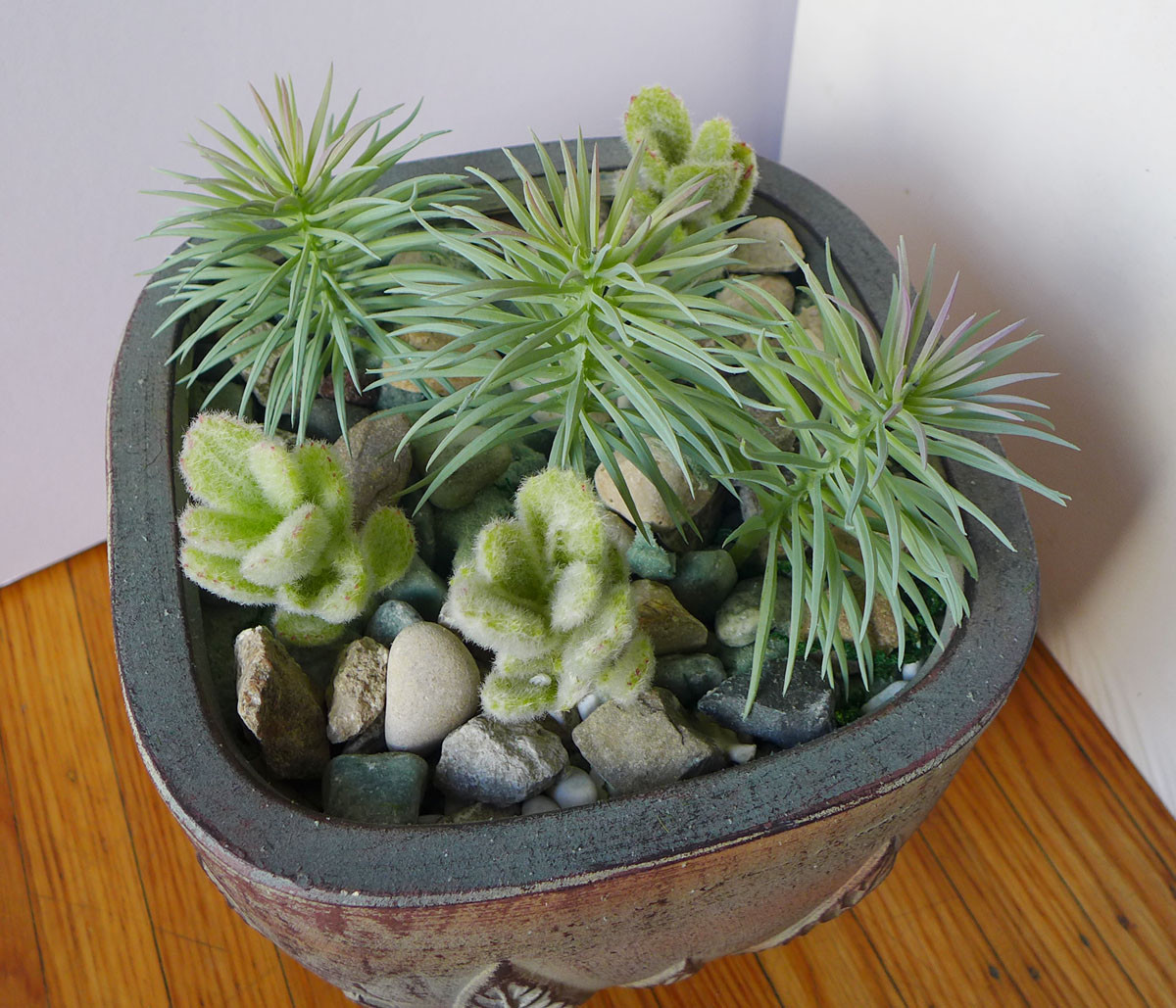 6 Artificial Succulents (3 Mini Gray Pine tree 3 Flocking Grass)