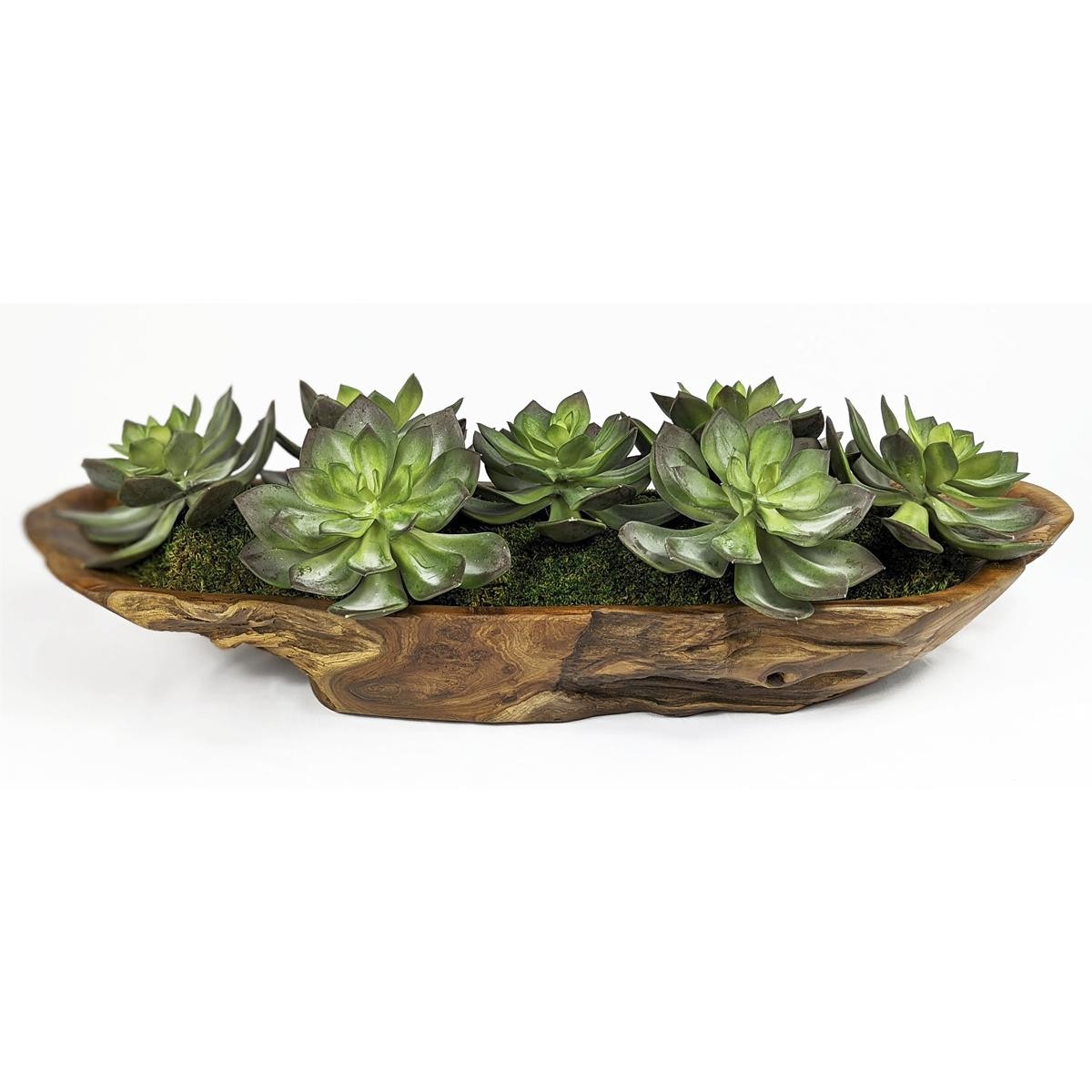 Uttermost 60205 Yuma Natural Teak Wood Succulent Centerpiece