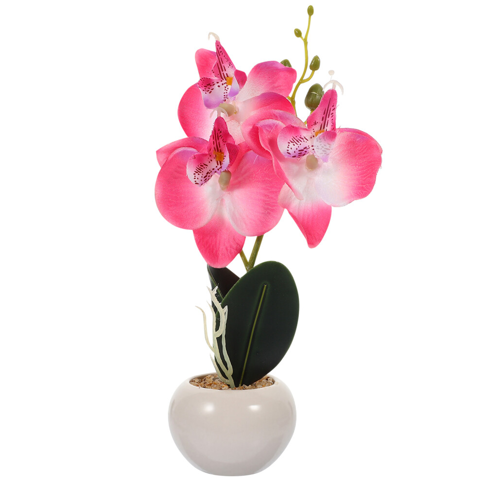 Phalaenopsis Bonsai Prop Simulation Phalaenopsis Plant Fake Phalaenopsis Decor