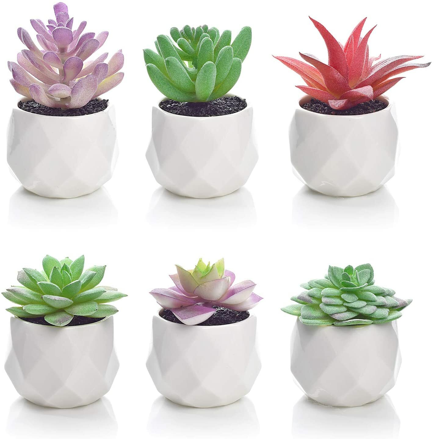 6 Pack Artificial Succulent Plants Lvydec Mini-Sized Fake Succulent Plants (E)