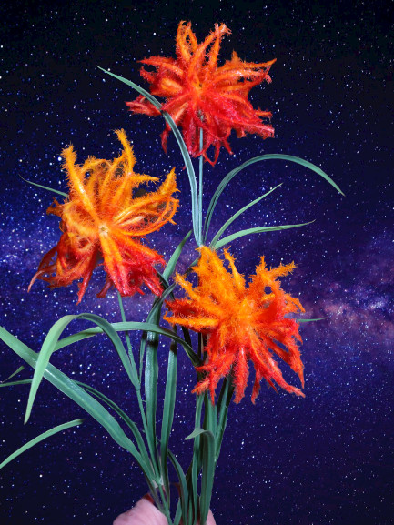 Wildflower tropical floral stem. Hawaiian Flowers. Tropical Flowers