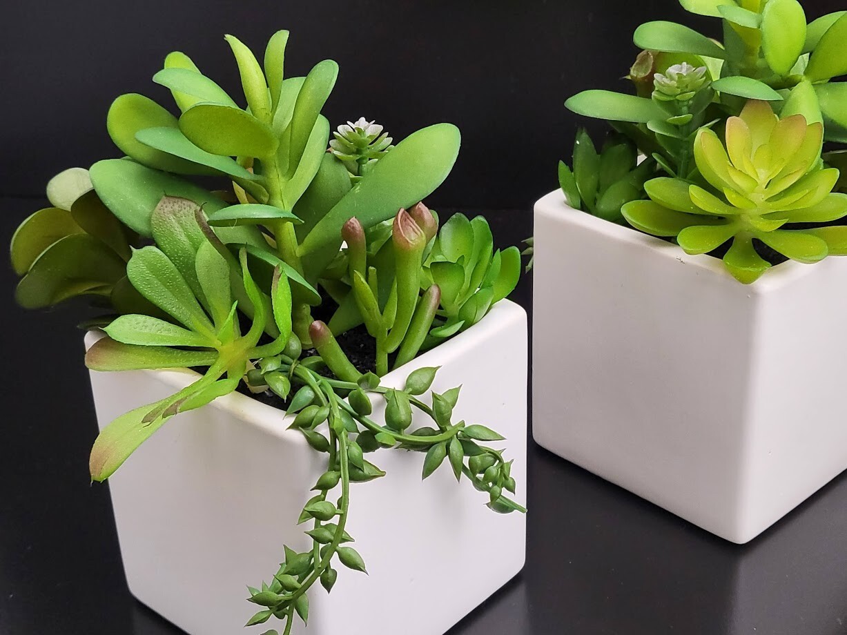 2-Pack Cactus Artificial Succulent Fake Plants Ceramic White Planter Pot 4x4x7