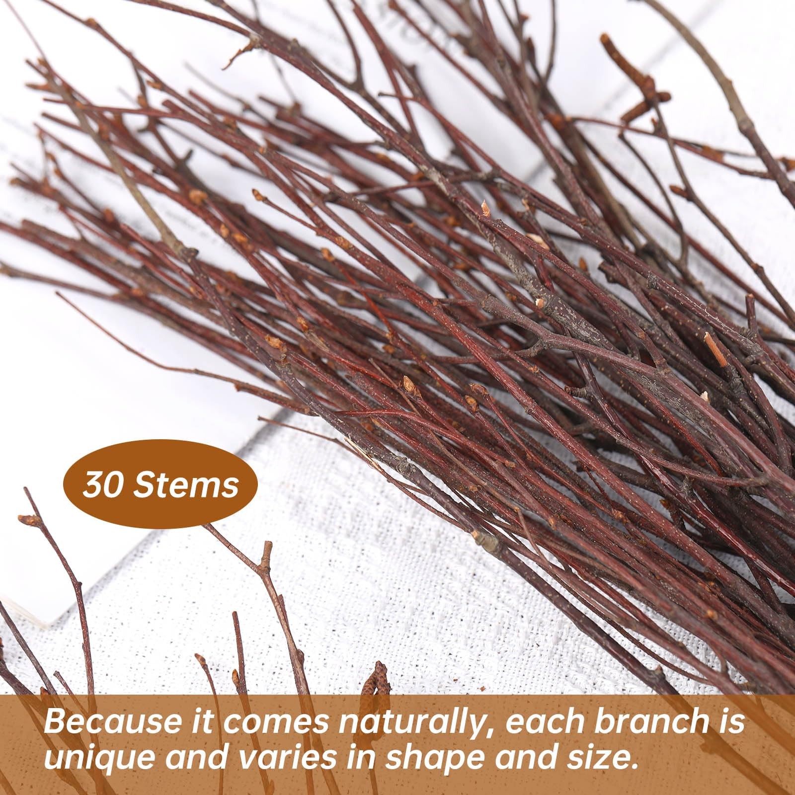 30 PCS Real Dried Birch Twigs 17 Inch Natural Decorative Branches Crafts Vase