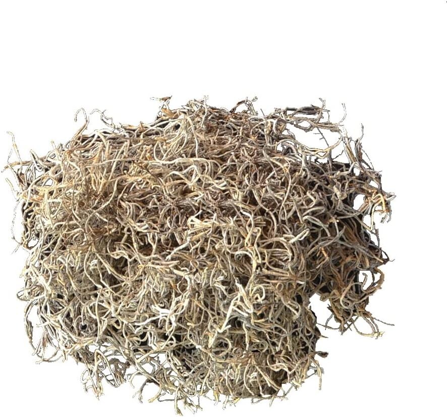Natural Spanish Moss – 250 Cubic Inches for Terrarium and Flower Pot Elegance