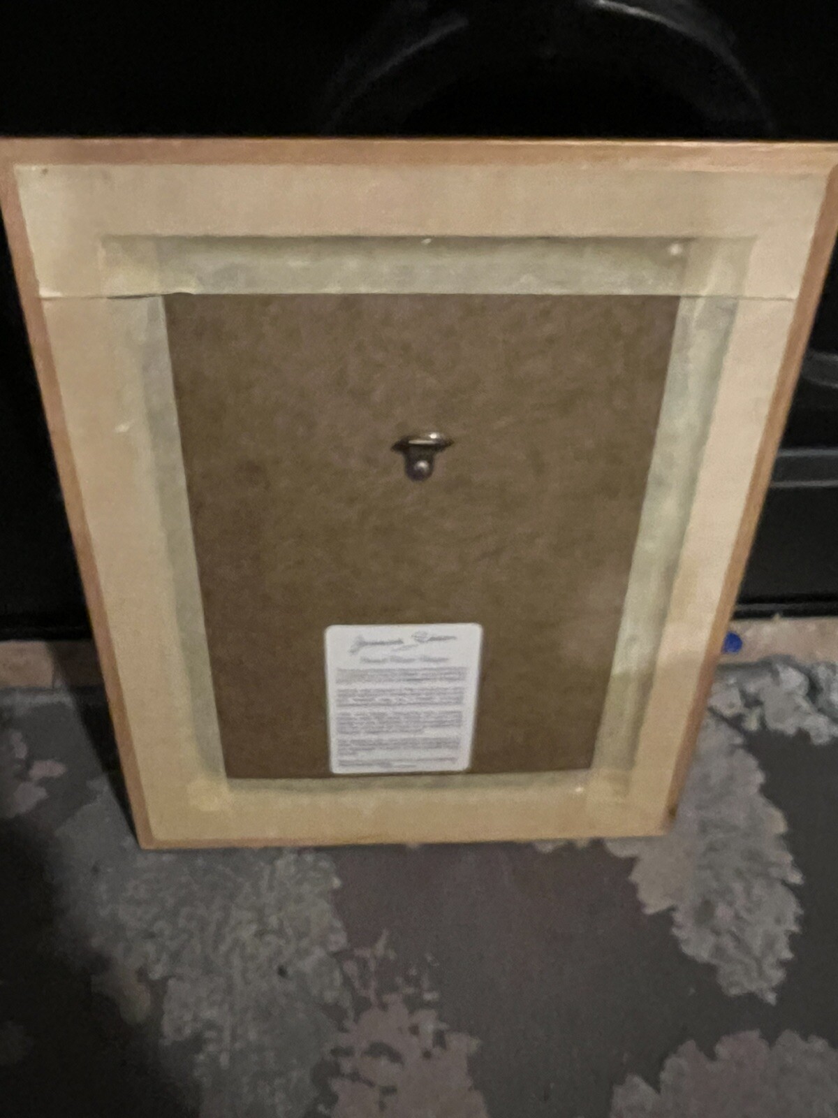 Joanna Sheer Pressed Flower Design Art Piece