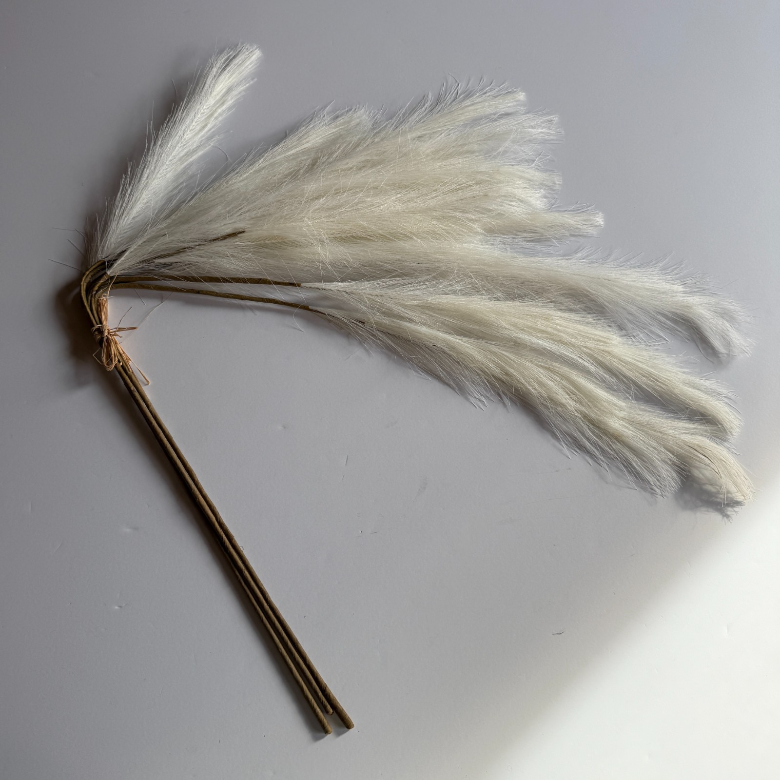 CRATE & BARREL Pampas Grass Bunch – Cream Faux Decorative Home Decor