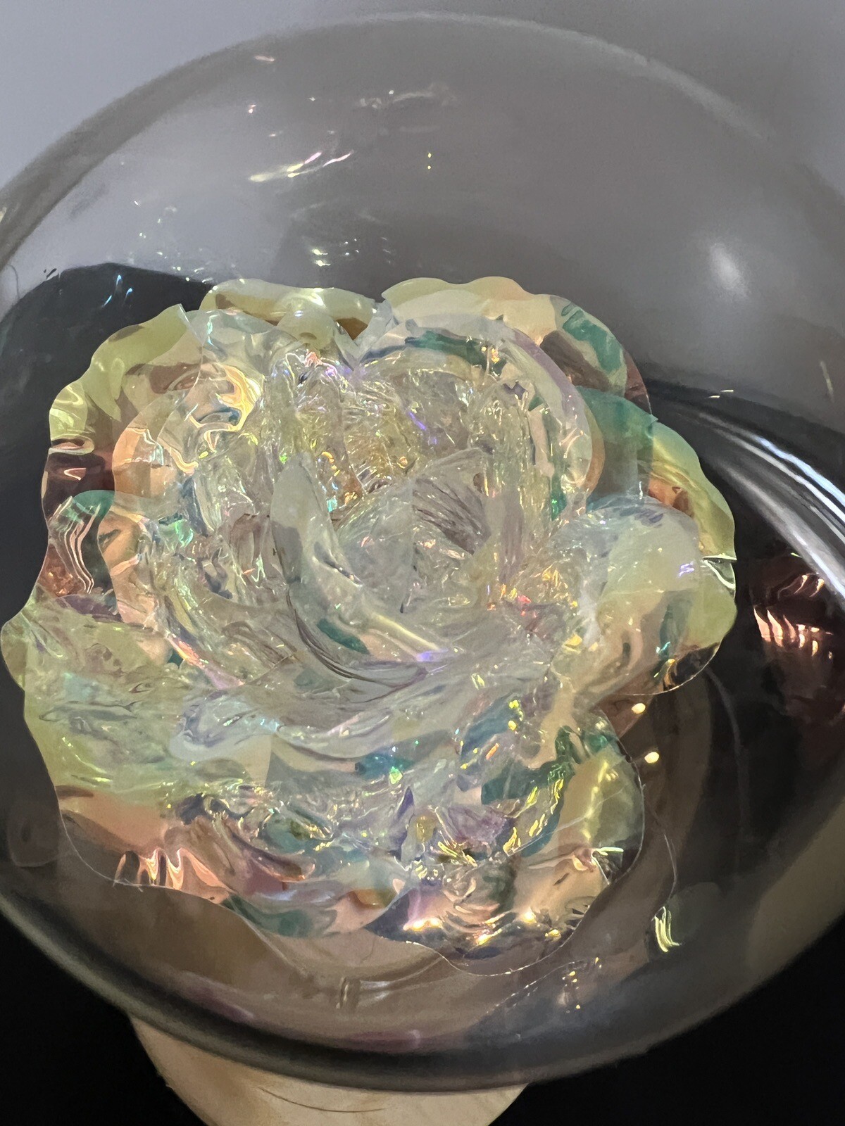 Rose in Glass Dome with Bear LED Gifts for Her Women Rose Alout