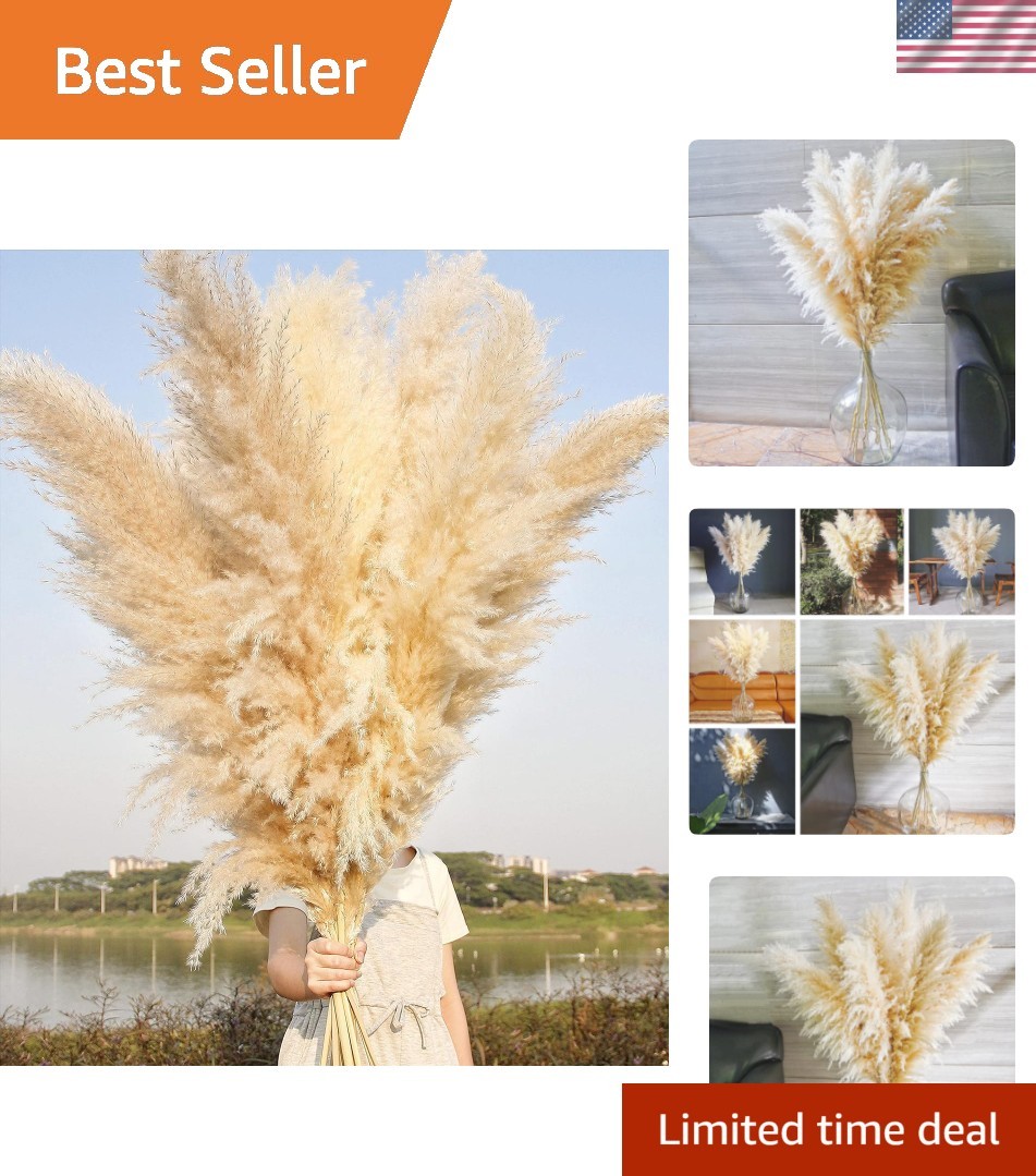 10 Stems 46″ inch Dried Pampas Grass Decor Tall, Large Pompas Grass, Boho Neu…
