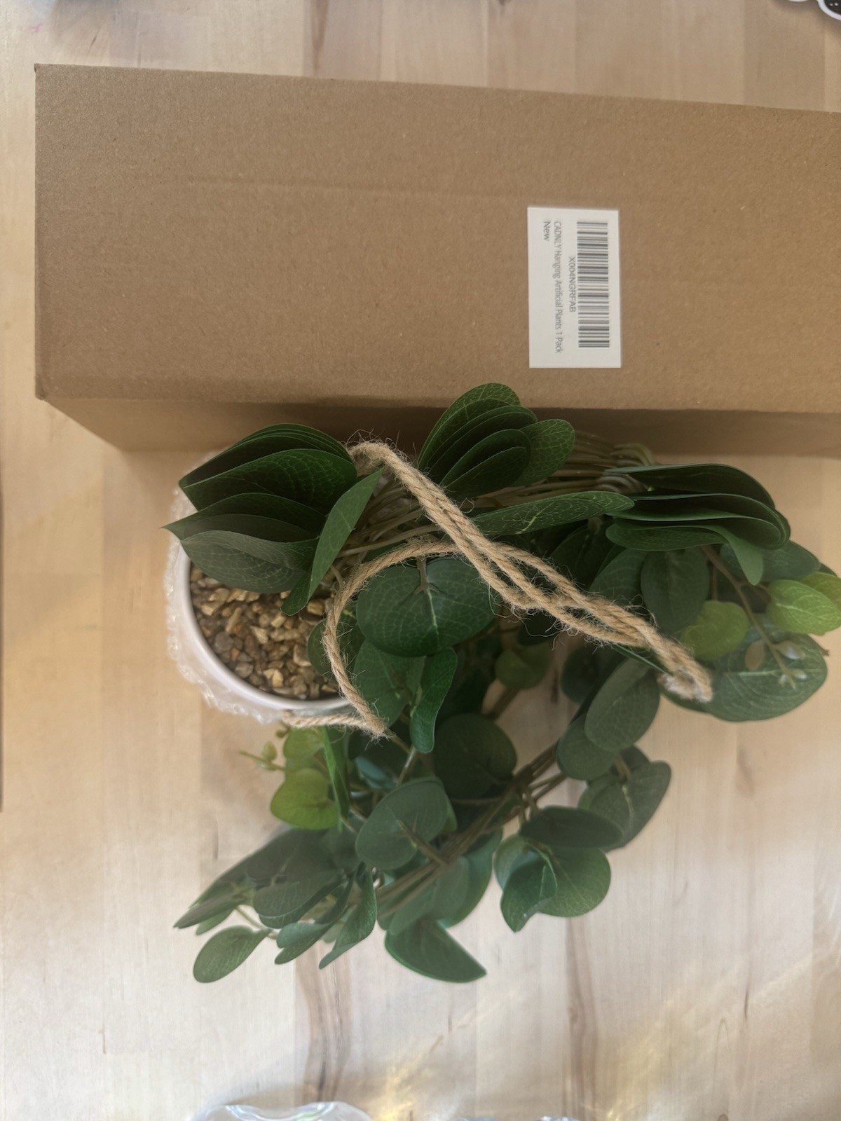 Realistic Artificial Plants Indoor in Pot Green Faux Hanging Fake Pothos Office