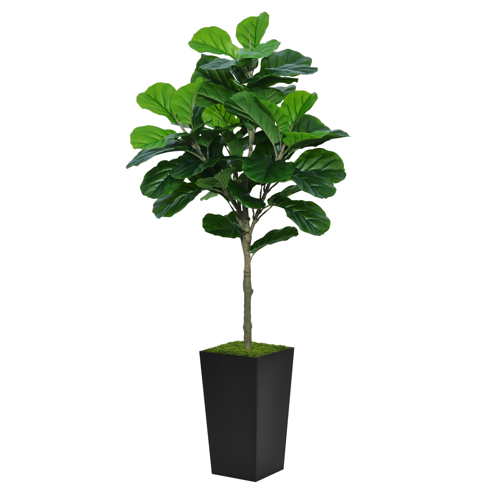 Fiddle Leaf Fig Tree Artificial 5FT – Faux Fiddle Leaf Fig Plant with Black T…