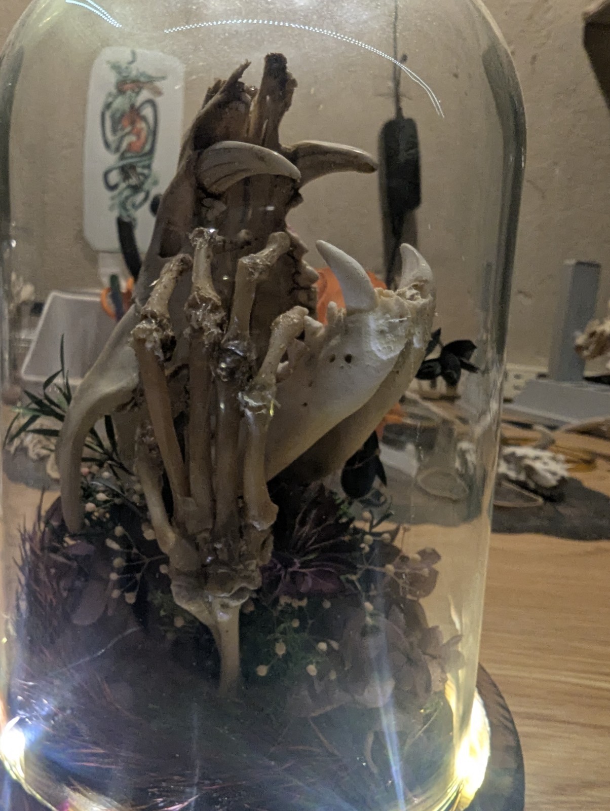 Decorative Glass Dome with Animal Skull and Floral Arrangement