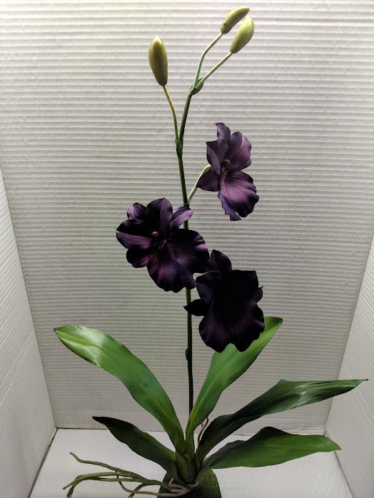 ARTIFICIAL miltoniopsis orchid plant