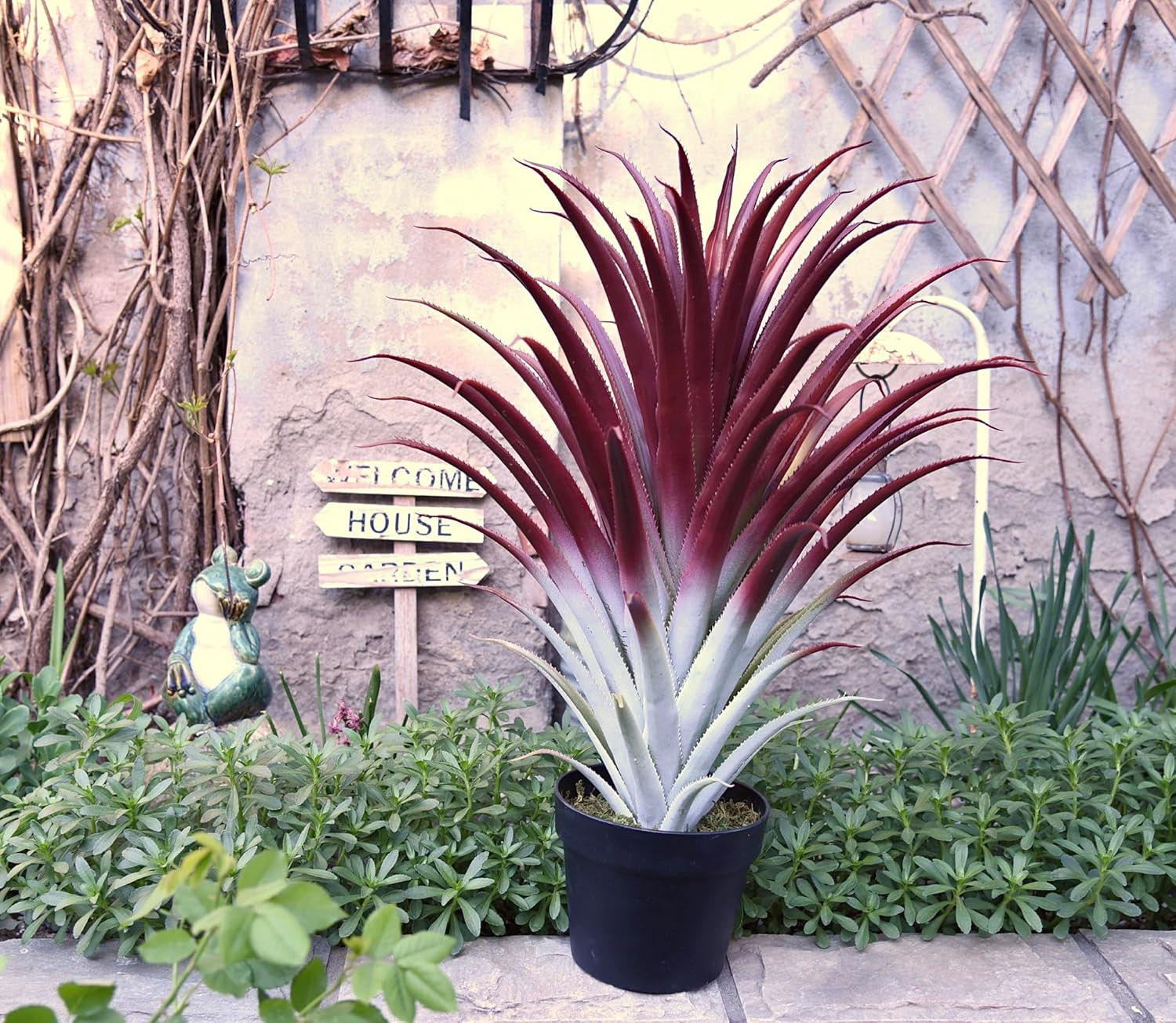 Realistic 26″ Red Artificial Aloe Vera Plant in Matte Black Pot