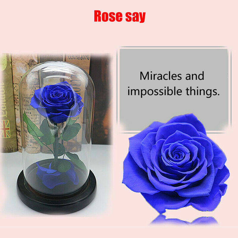 Red Blue Black Pink Forever Flower Immortal Fresh Rose in Glass Valentine’s Day