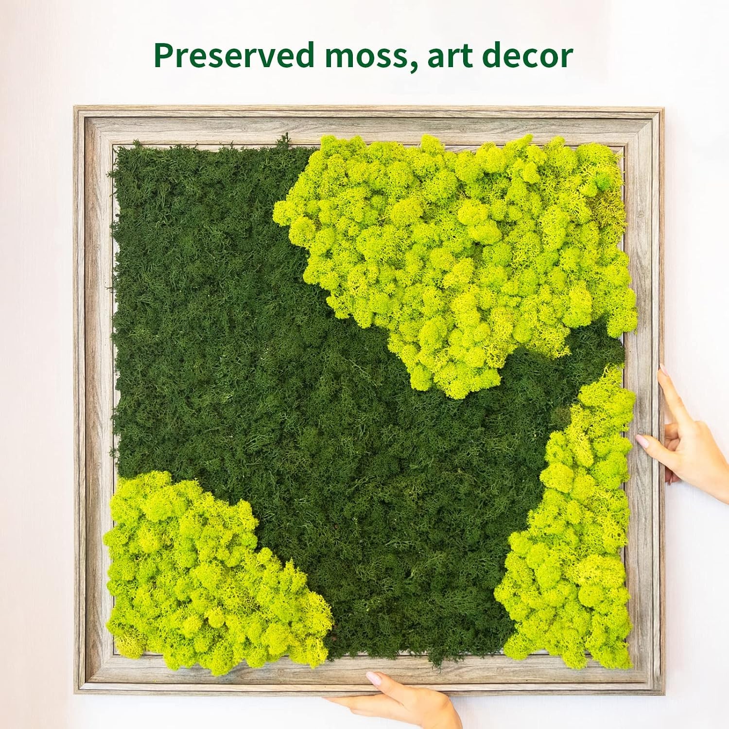 Preserved Moss 4 Color Reindeer Craft Decorations 14 OZ Green Artificial Moss