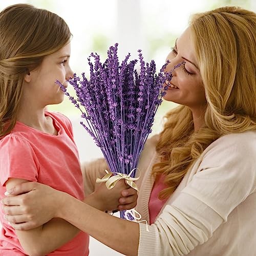 Dried Lavender Flowers Bouquet 15-17 inch Purple Bundle Preserved Aromatherapy D
