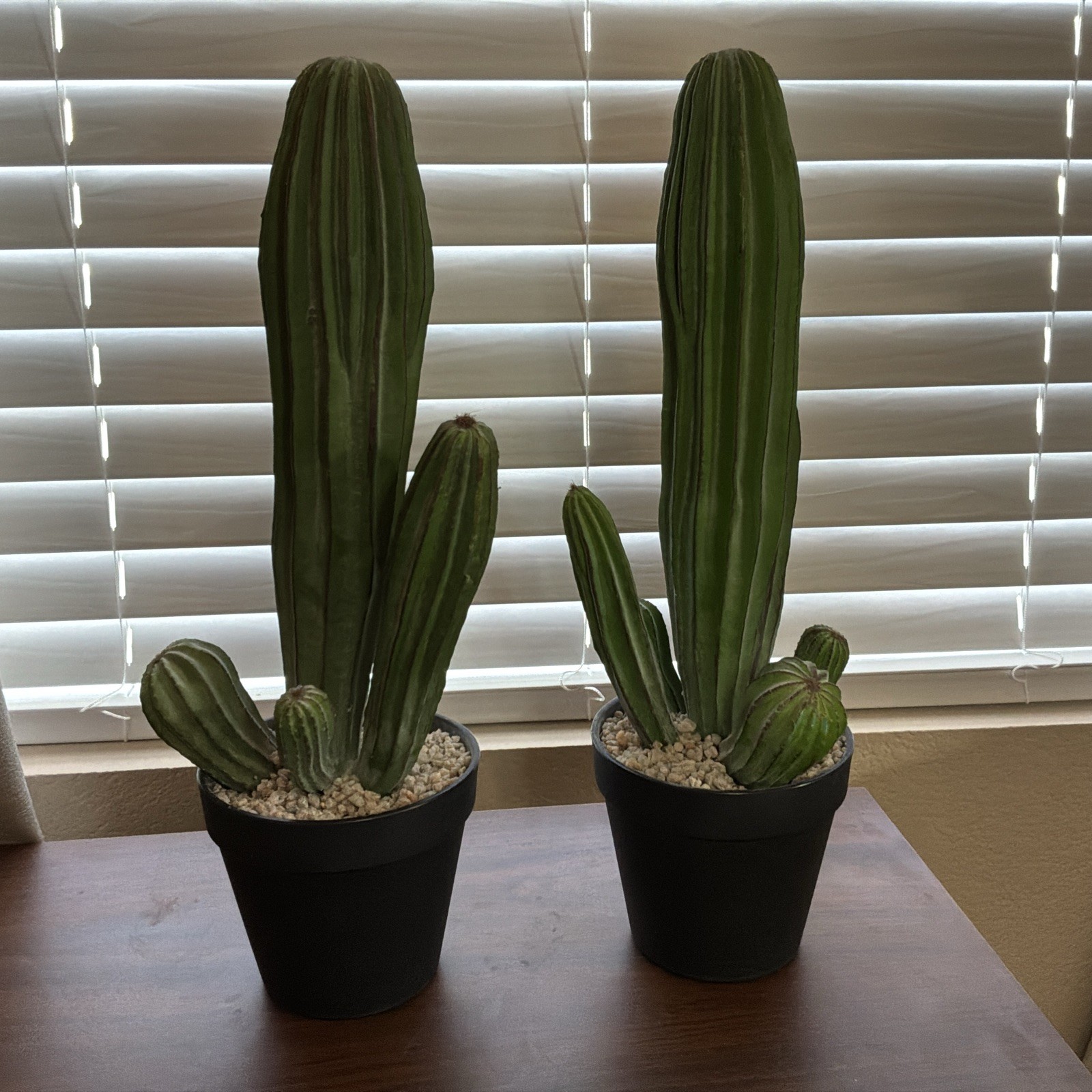 Artificial Cactus Fake Cacti 16″ Faux Potted Cactus Plants for Decor