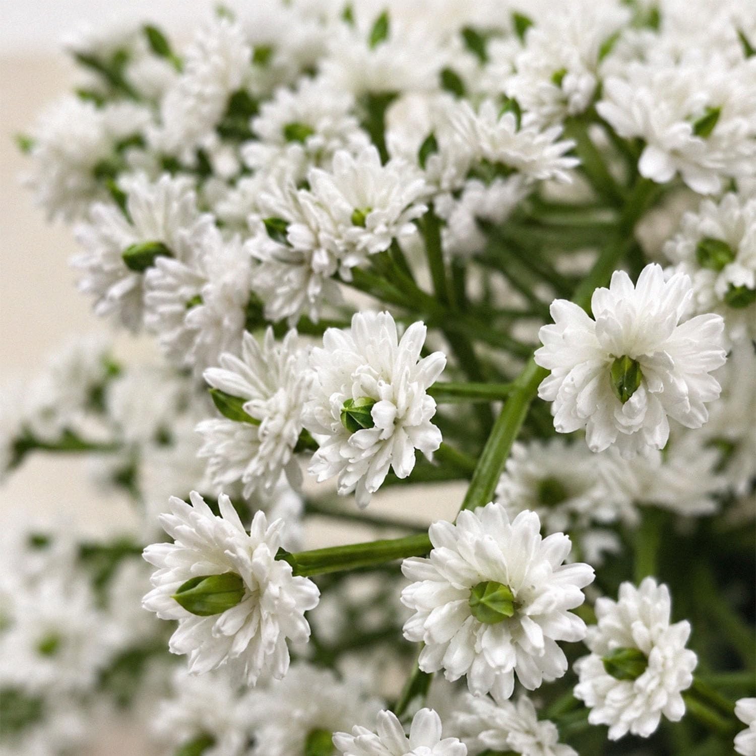 9 Pcs Babys Breath Artificial Flowers with Glass Vase, 8″ Real Touch Faux Gyp…