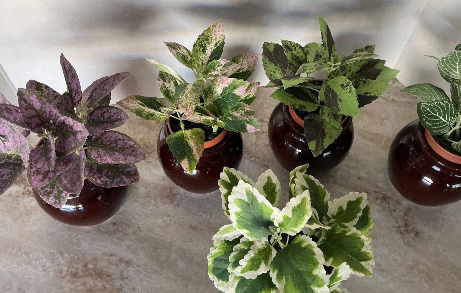 Spring Summer Floral Coleus Variety Silk Plants with Brown Crock Pots Garden