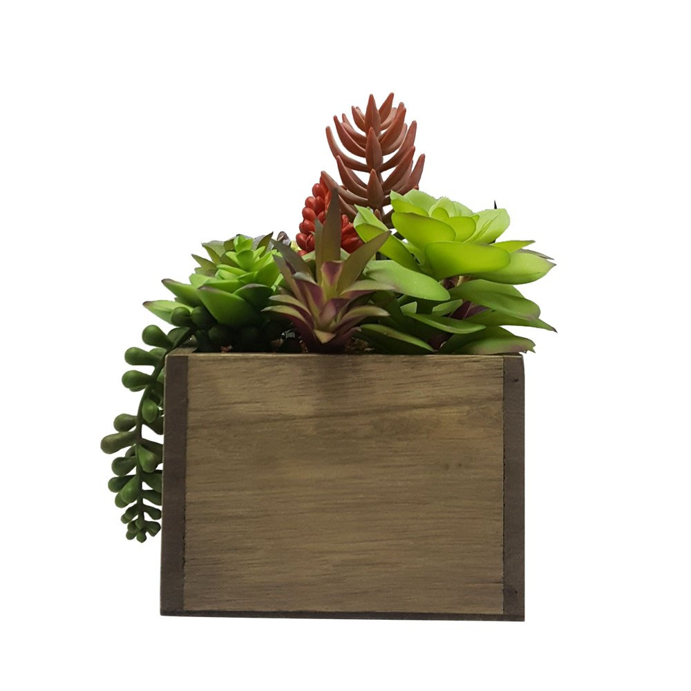 ARTIFICIAL MIXED SUCCULENT PLANTS 7.5 In High in Wood Box