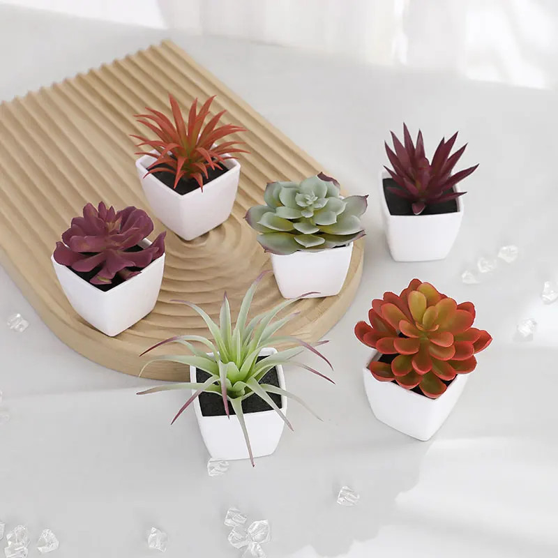 6PCS (SET) Mini Artificial Succulent Green Plant Plastic Wwhite Basin, Home Win
