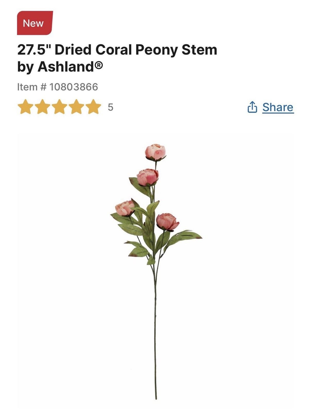 Set of 10 Viral Ashland Coral Peony Stems From Michael’s NEW 2026