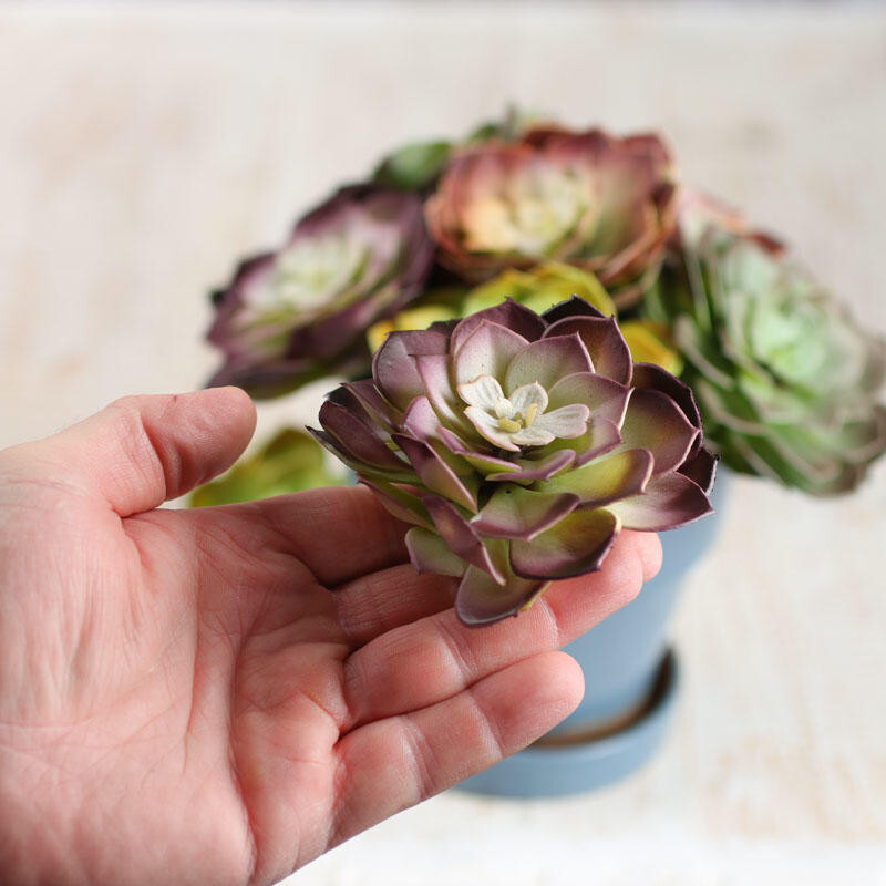 Package of 8 Artificial Hen and Chick 3-1/2″ Succulent Picks