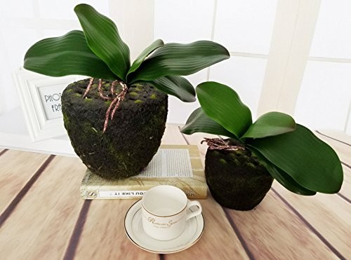 4 PCS 10 Inch Big Artificial Green Phalaenopsis Moth Orchid Leaf Latex Plant