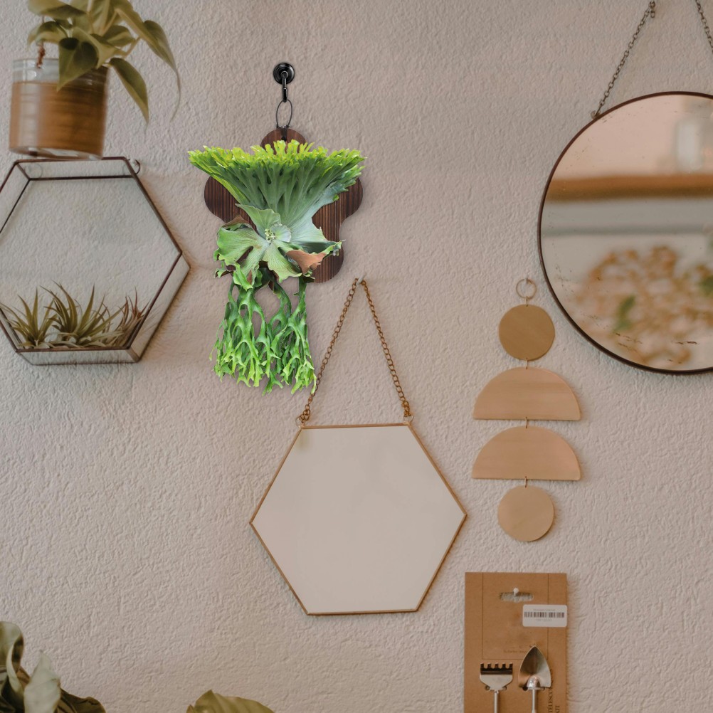 Home Wall Plant Holder Brown Wooden Mounting Board for Vertical Plant Display