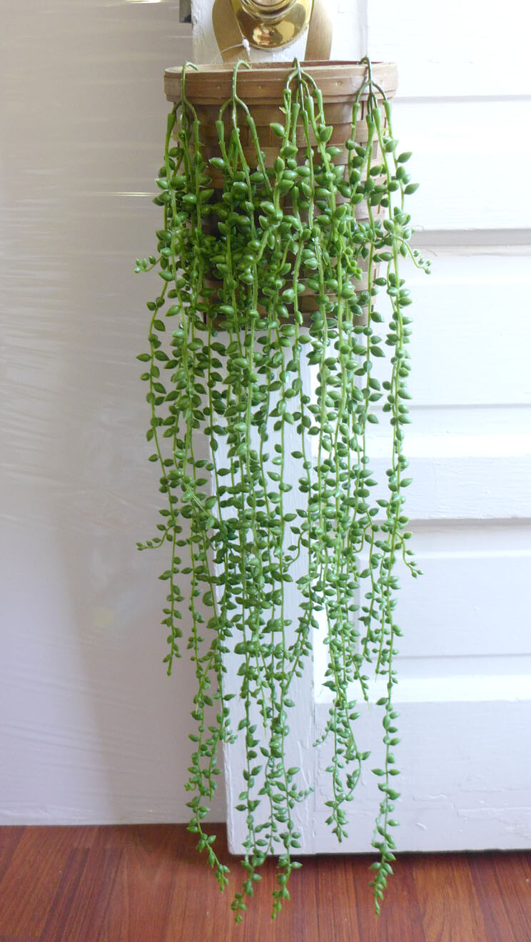 4 Beans Rattan Hangings Artificial Plant Plastic String Of Pearls Wall Decora
