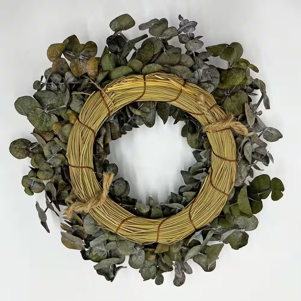 12 In. Non Artificial Preserved Eucalyptus Leaves Wreath