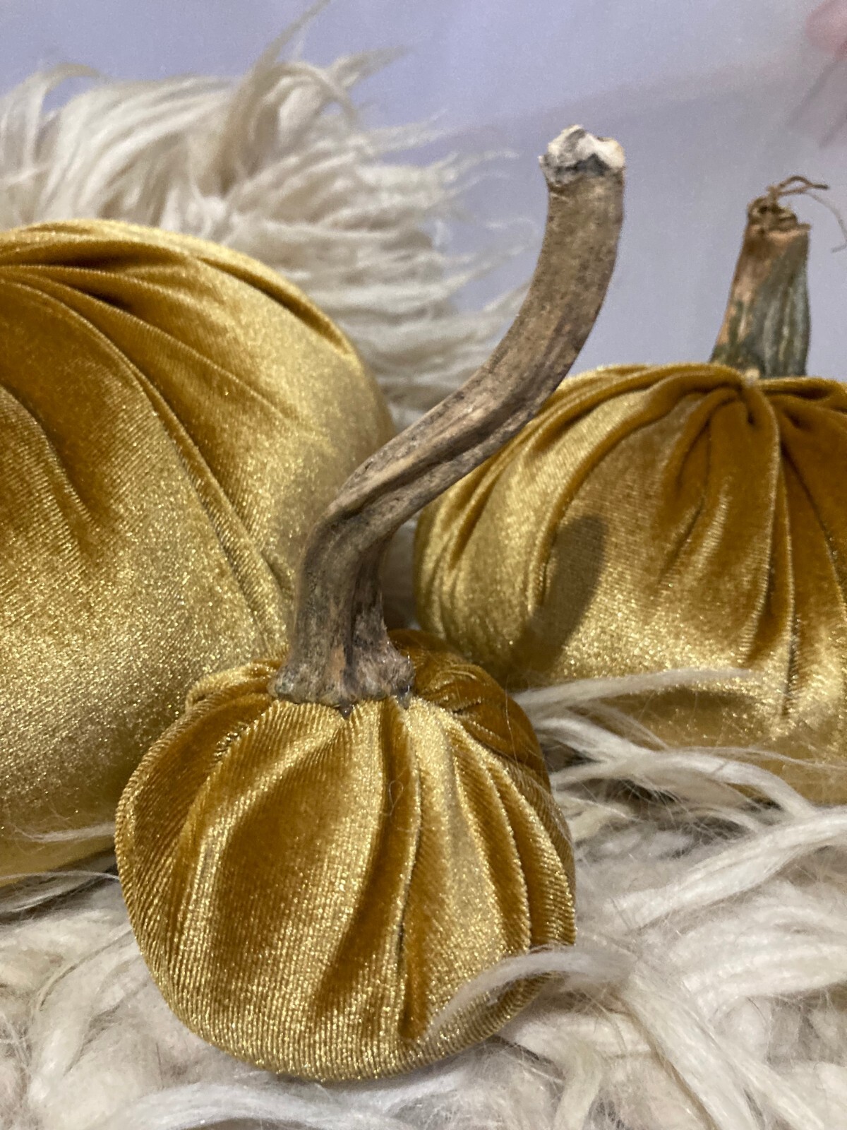 Golden Fall Velvet Pumpkins