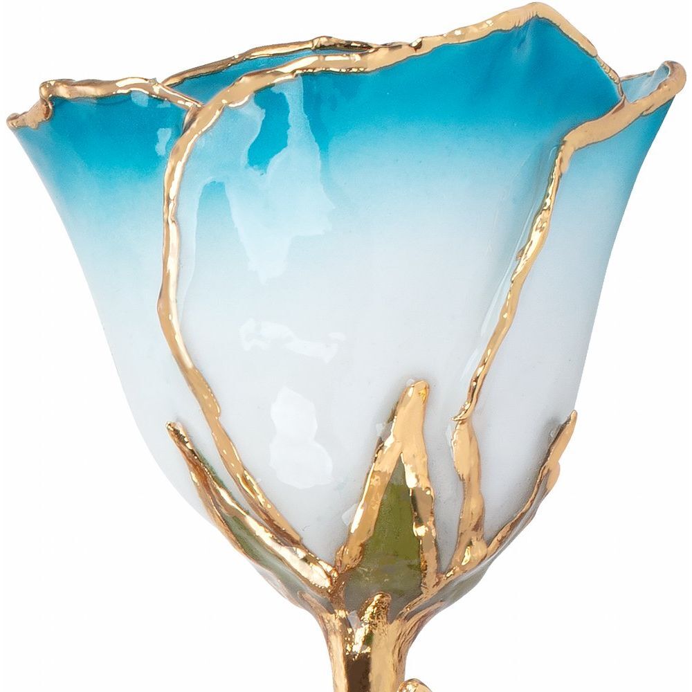24k Gold Dipped Cream Turquoise Lacquer Real Rose Valentine’s Day Holiday Gift