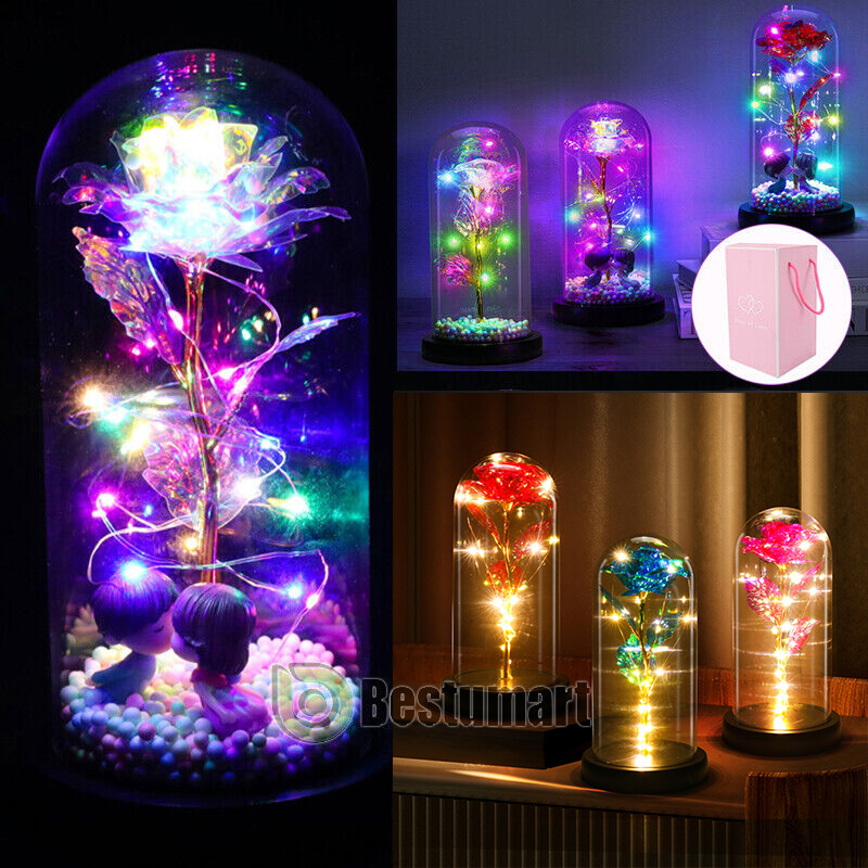 Eternal Forever Romantic Rose Flower In Glass Dome LED Light Mother’s Day Gift