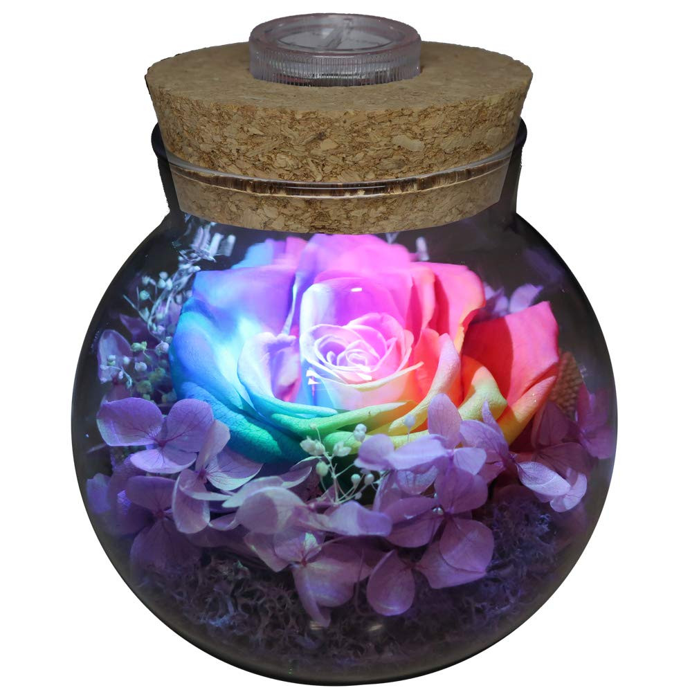 Preserved Real Roses with Colorful Mood Light Wishing Bottle,Eternal Rose，Nev…