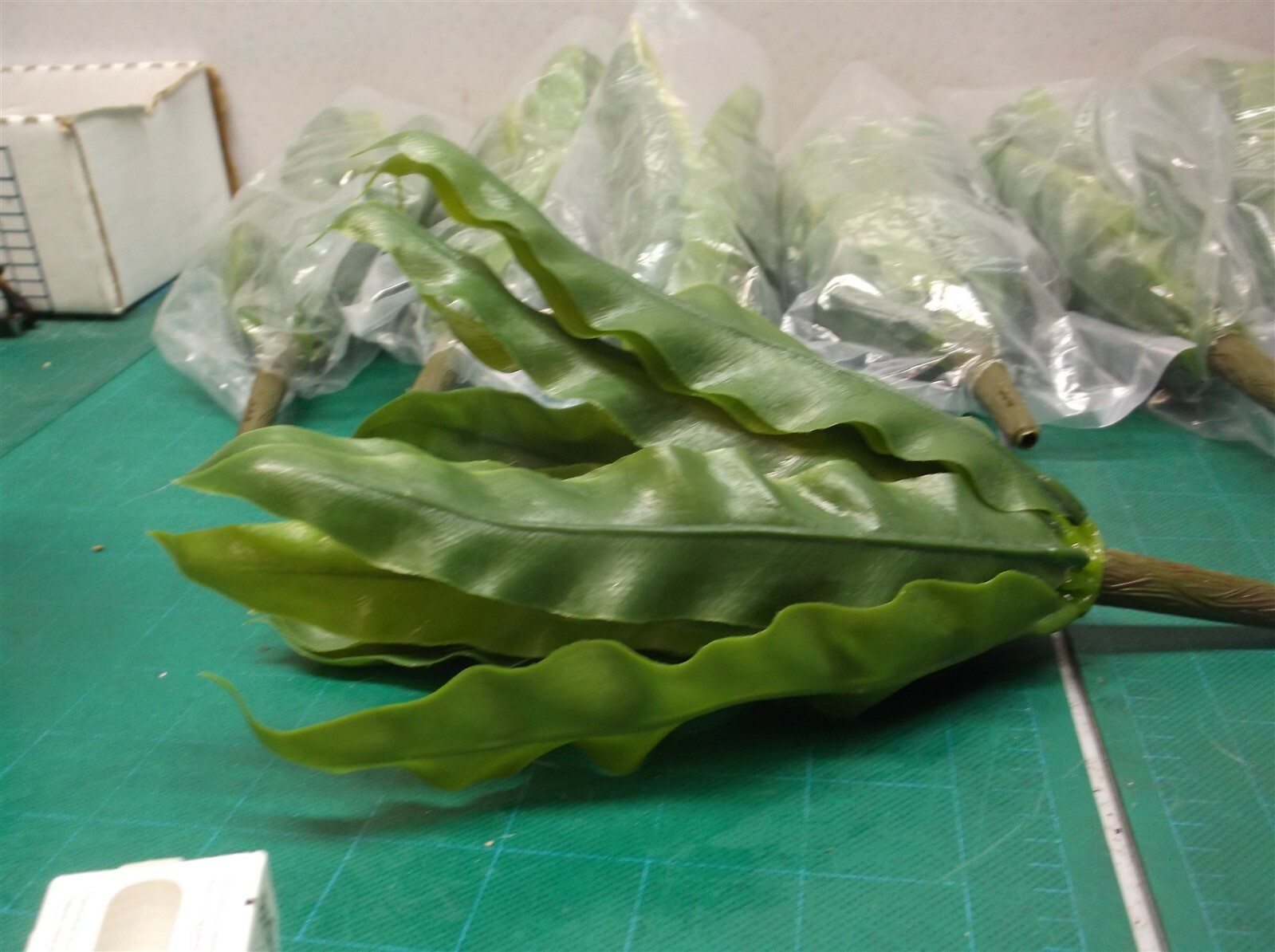 2-8 Piece Sets Indoor 9 in. Birds Nest Fern Artificial Plant
