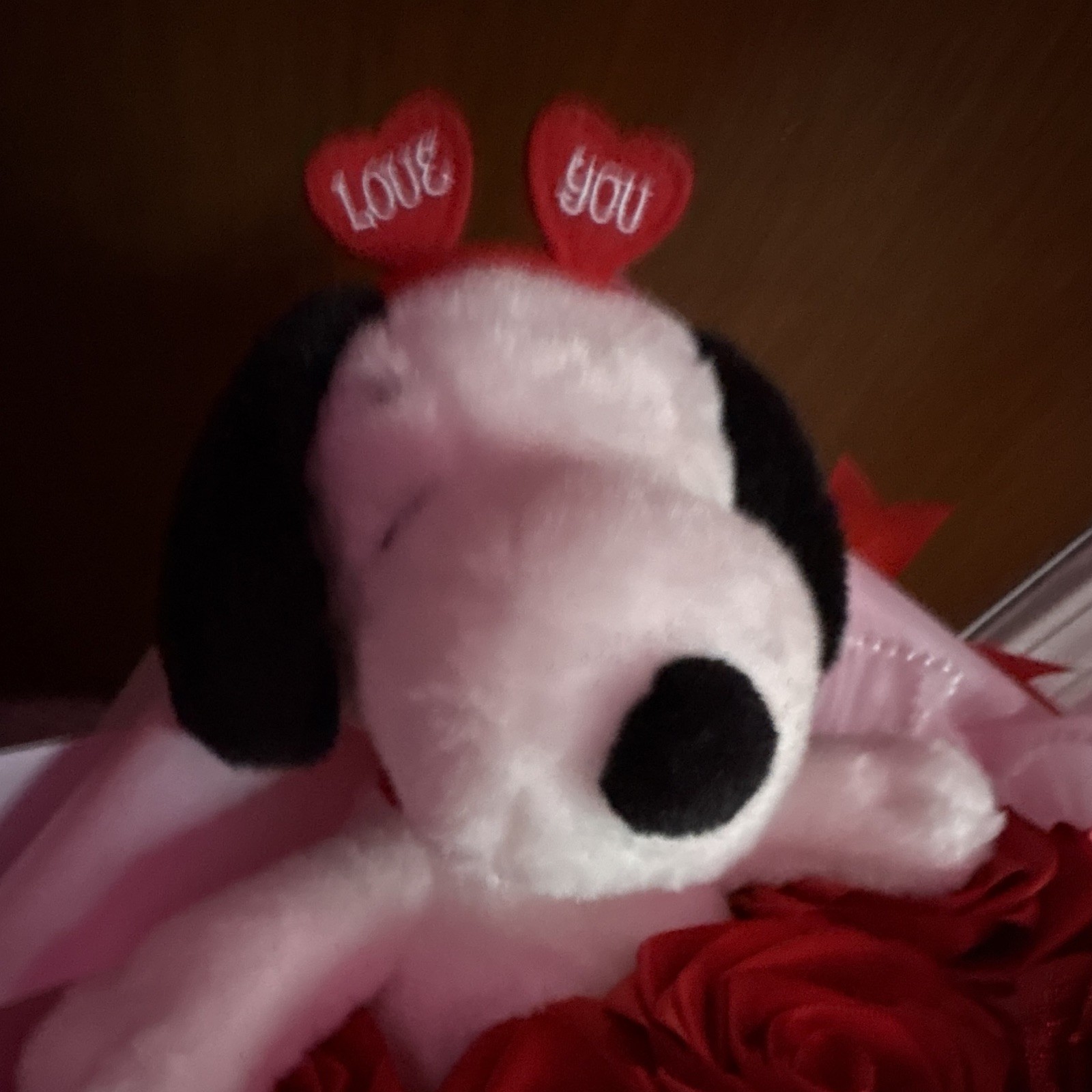 Exs Red Rose Bouquet Arrangement w/ Plush snoopy & “Be My Valentine” Ribbon