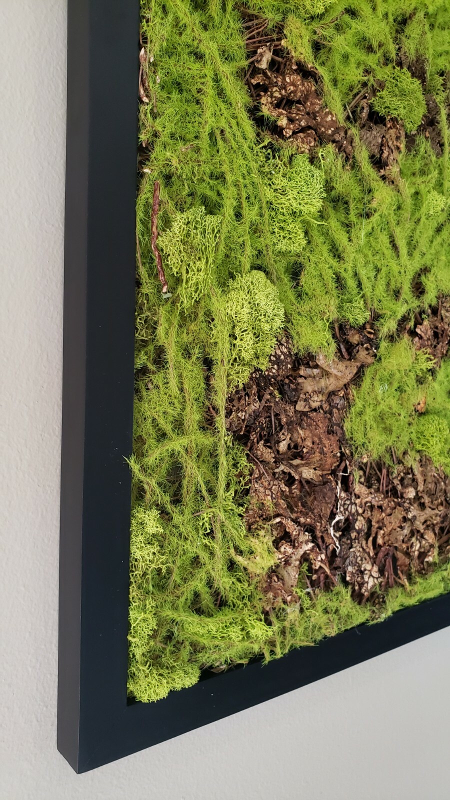 21*21″ Mixed Moss square wall decor,black frame,natural moss, faux sphagnum moss
