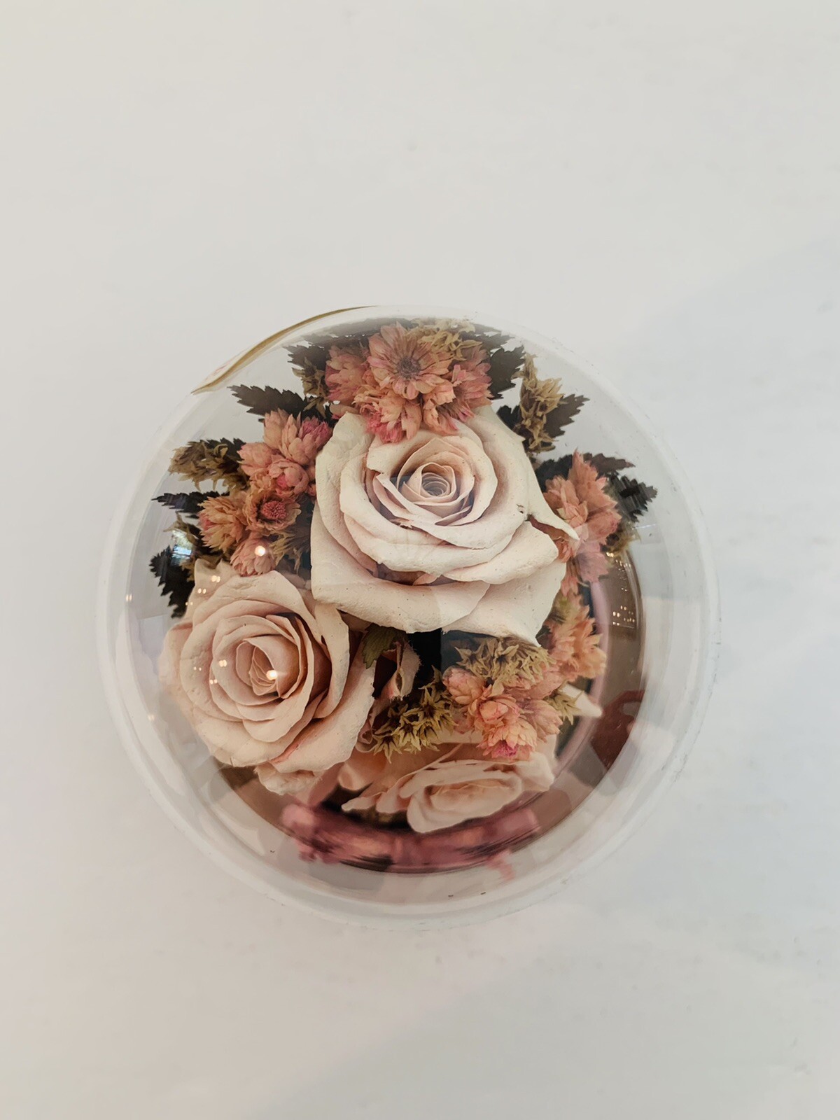 Vintage Preserved Real Pink Roses in Glass Case *4 in x 5 in*