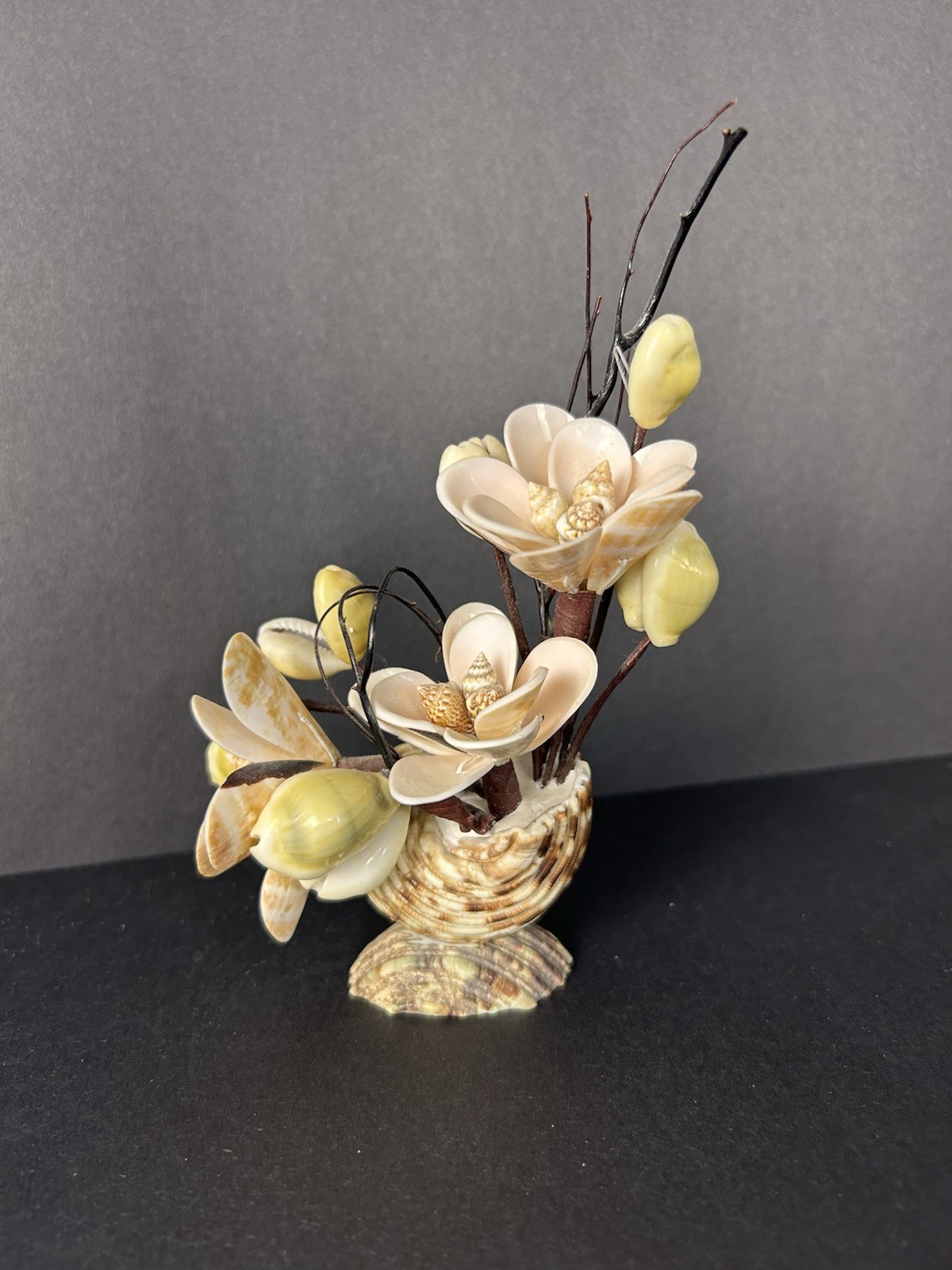 Vintage Cottagecore Kitschy Hand Made Sea Shell Floral Arrangement 6”x4”