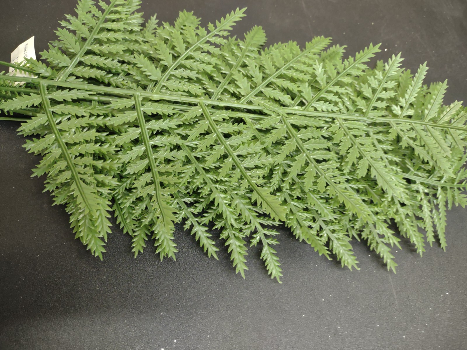 12 Stems Retro Poly Leatherleaf Fern, 13 Inches, Wedding Bouquets & Arrangements