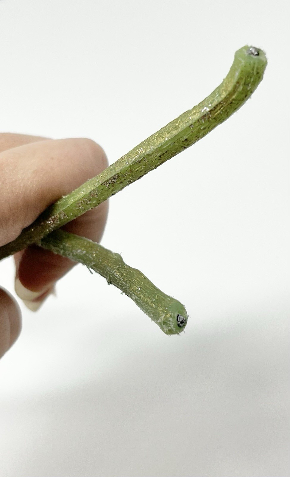 Lot 2 Foxtail Lily Flower Stems Approx. 25” Long Acrylic/Plastic Buds Glitter