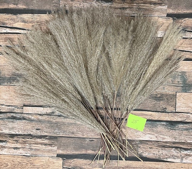 Natural Dried Pampas Grass ~ Boho ~ Home Decor ~ Wedding ~ 70 pcs