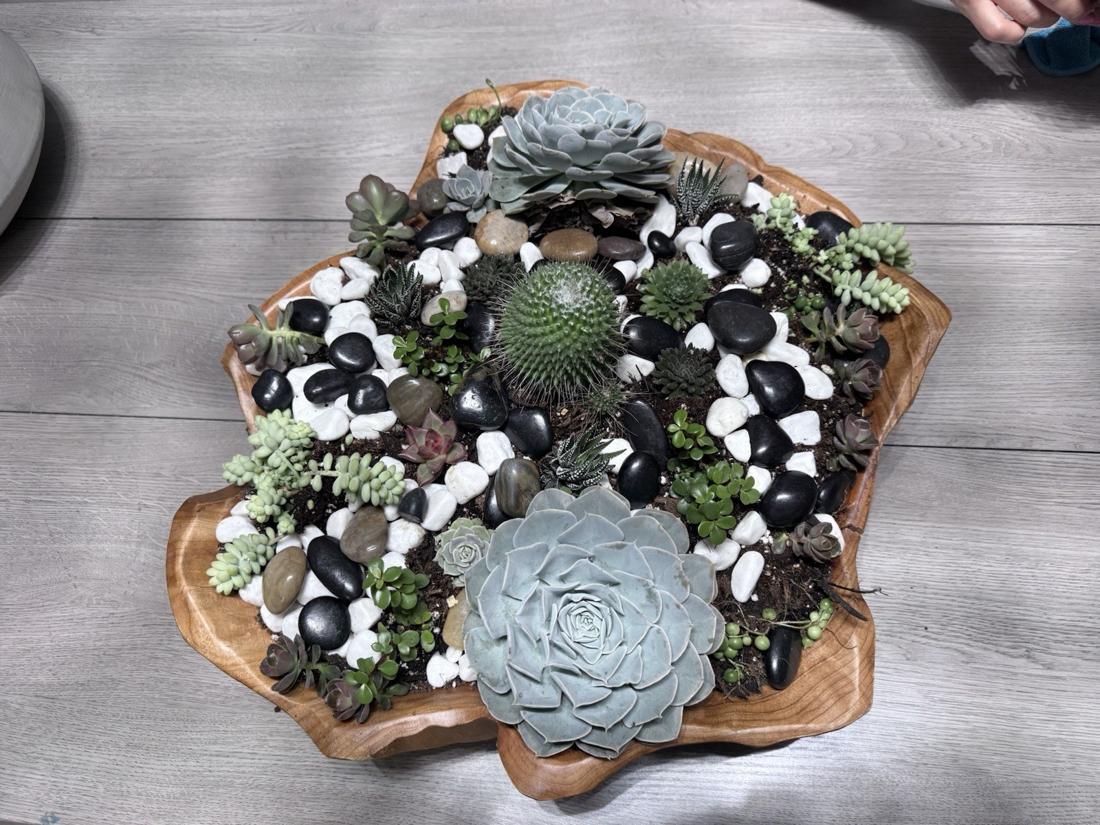 Succulent Plant Arrangement Artificial, Rectangular Wood Pot, Table Centerpiece