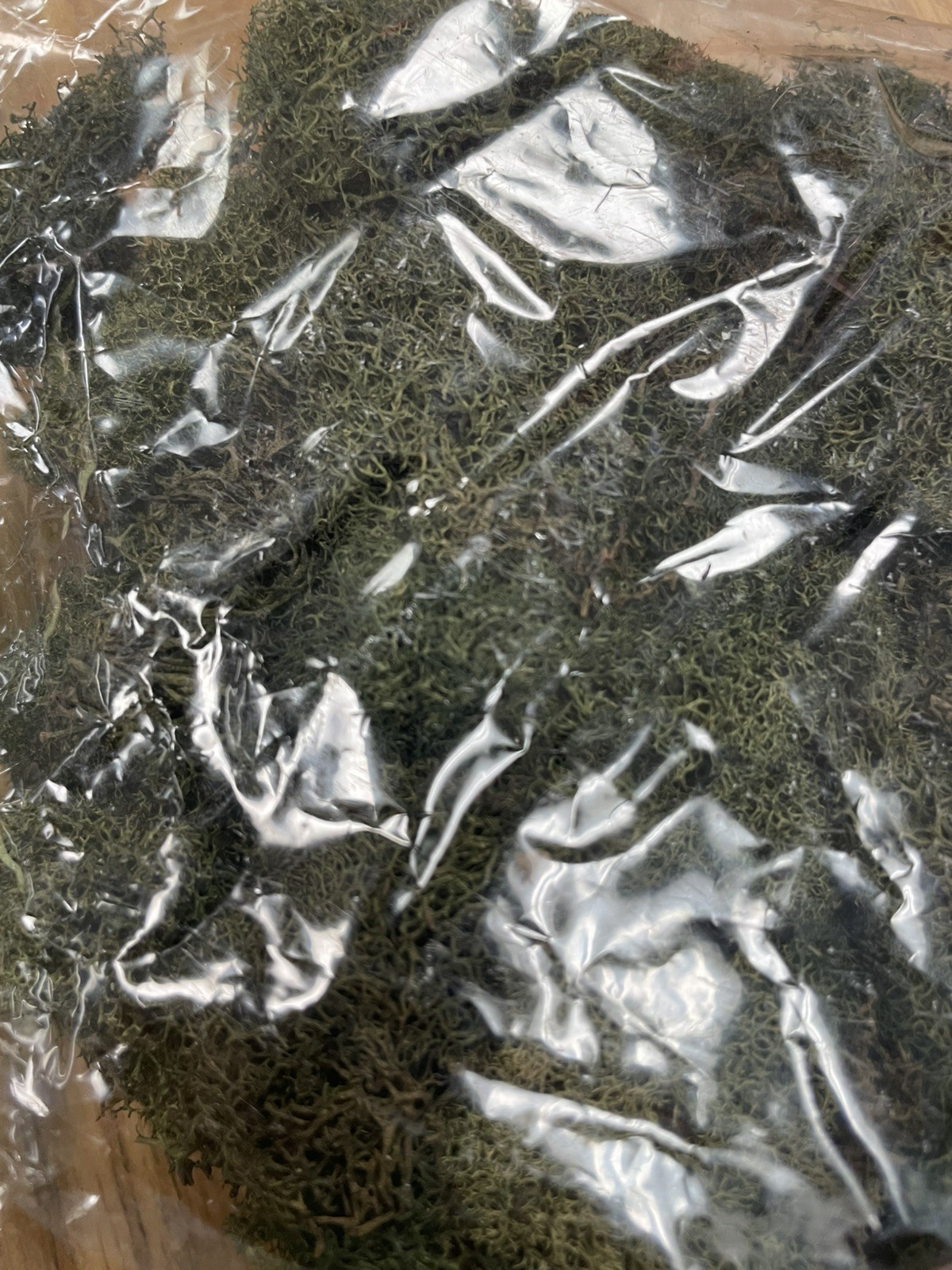 PRESERVED NATURAL REINDEER MOSS GREEN FOR CRAFTS VILLAGES & RAILROAD DISPLAYS