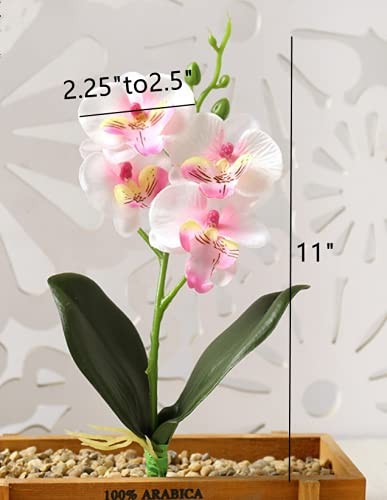 4 Bunches Tropical Artificial Flower 11″ Mini Butterfly Orchid with 3 Silk Fl…