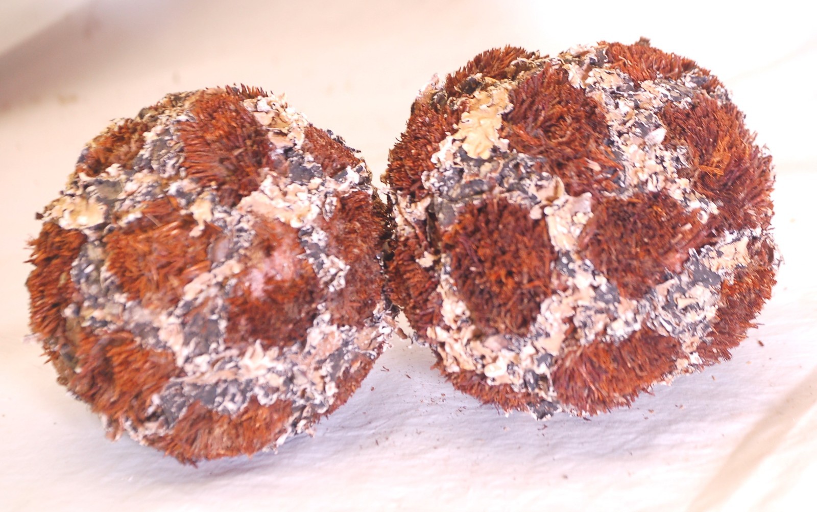 Moss Balls Decorative Bowl Filler Assorted Sizes d